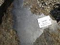2012-10-07,_Nochten (61)